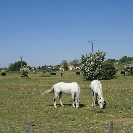 L'hacienda Marguerittes